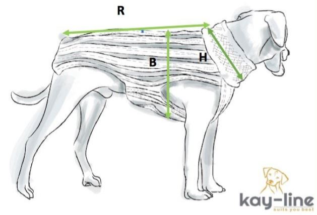kay-line Hundepullover Smarty