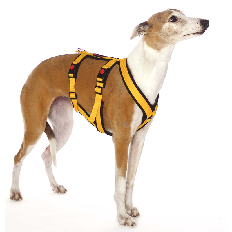 Sportgeschirr Y Double small