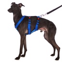 Sportgeschirr Y Double small