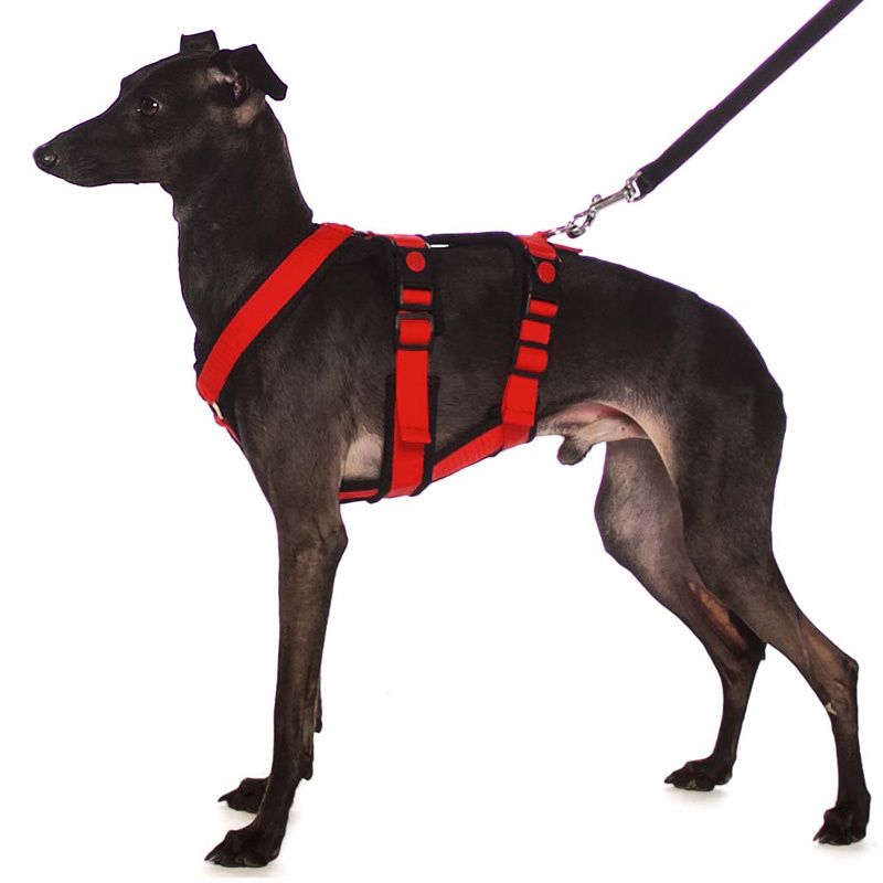 Sportgeschirr Y Double small