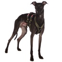 Sportgeschirr Y Double small