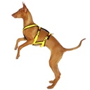 Sportgeschirr Y Double small