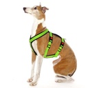 Sportgeschirr Y Double small