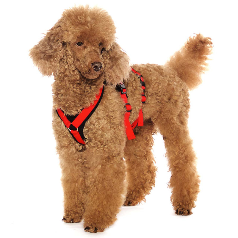 Sportgeschirr Y Double small