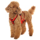 Sportgeschirr Y Double small