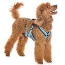 Sportgeschirr Y Double small