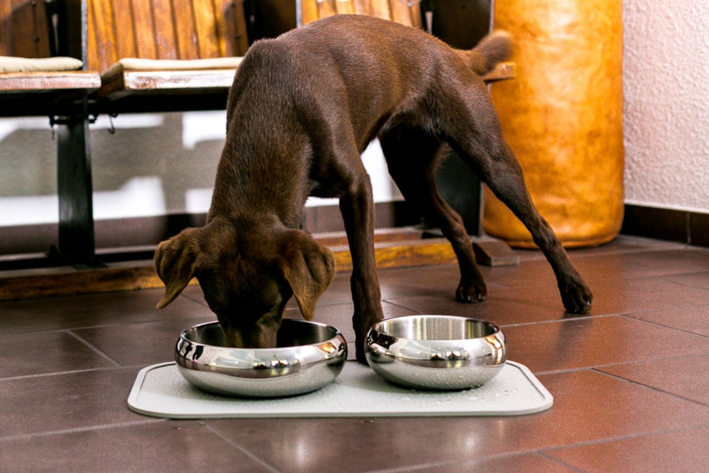 Wolters Dinner Steel