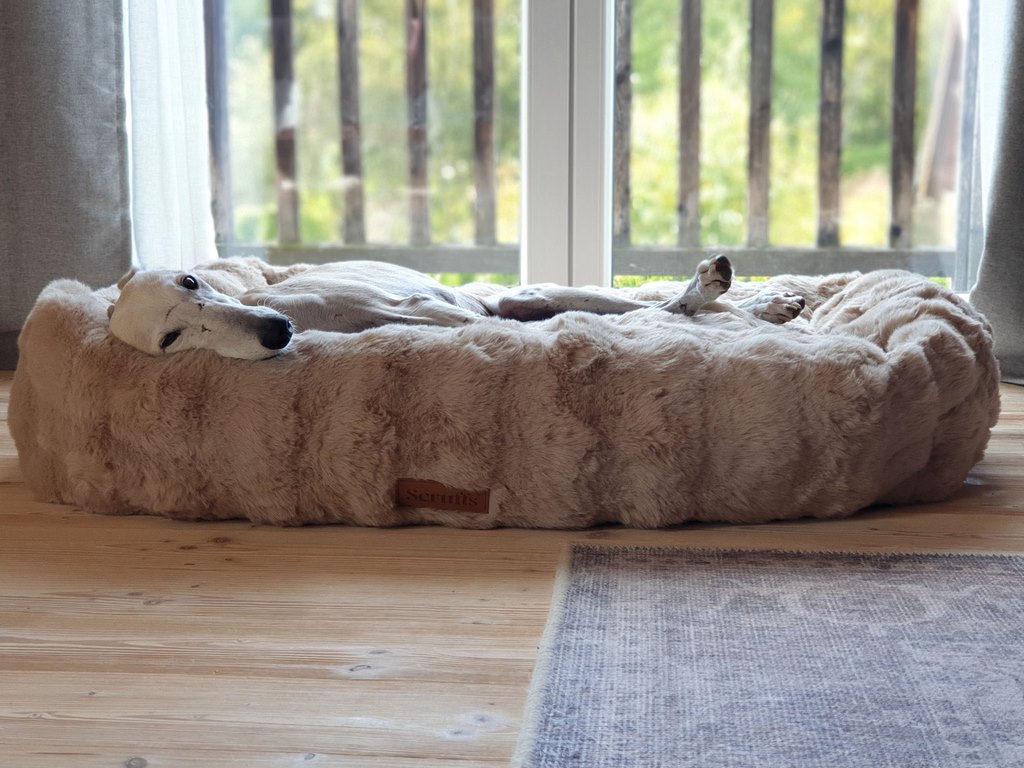 Scruffs ALPINE Box Bed