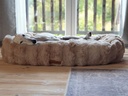 Scruffs ALPINE Box Bed