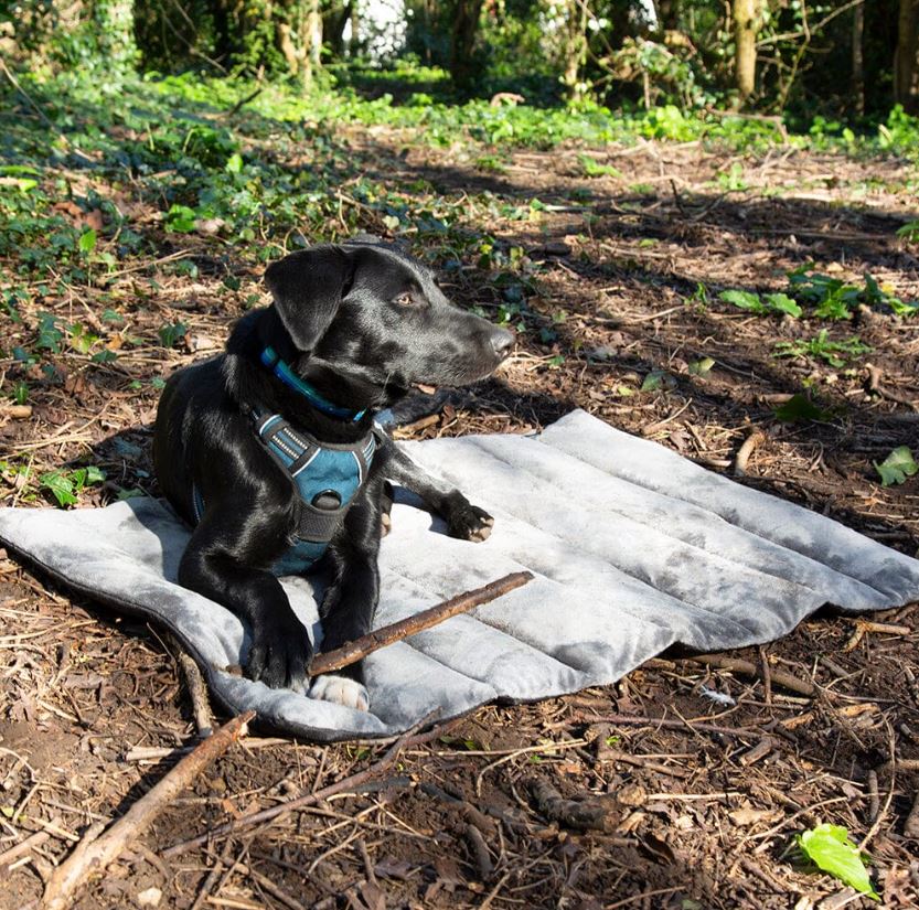 Scruffs Expedition Roll Up Travel