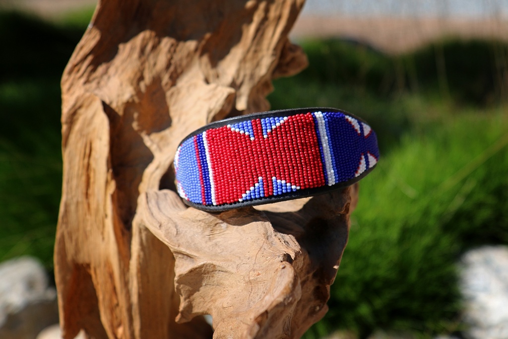 TKC Red White Blue Lurcher