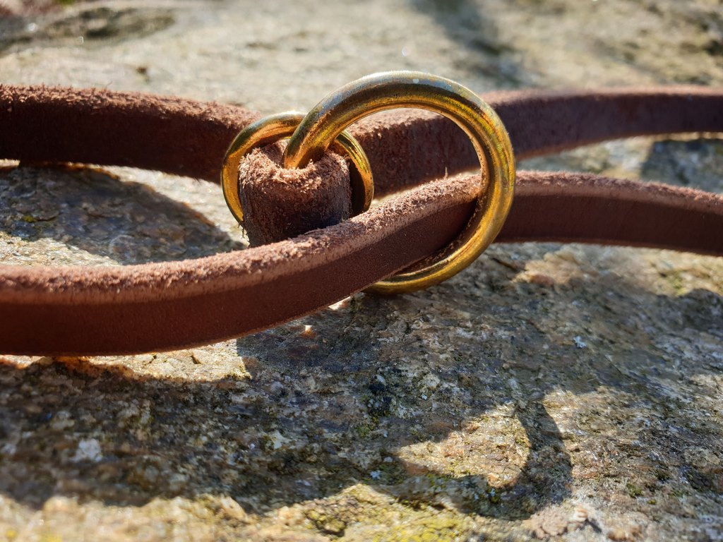 Vario-Softlederleine 200 cm