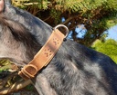 Vintage Dog Halsband