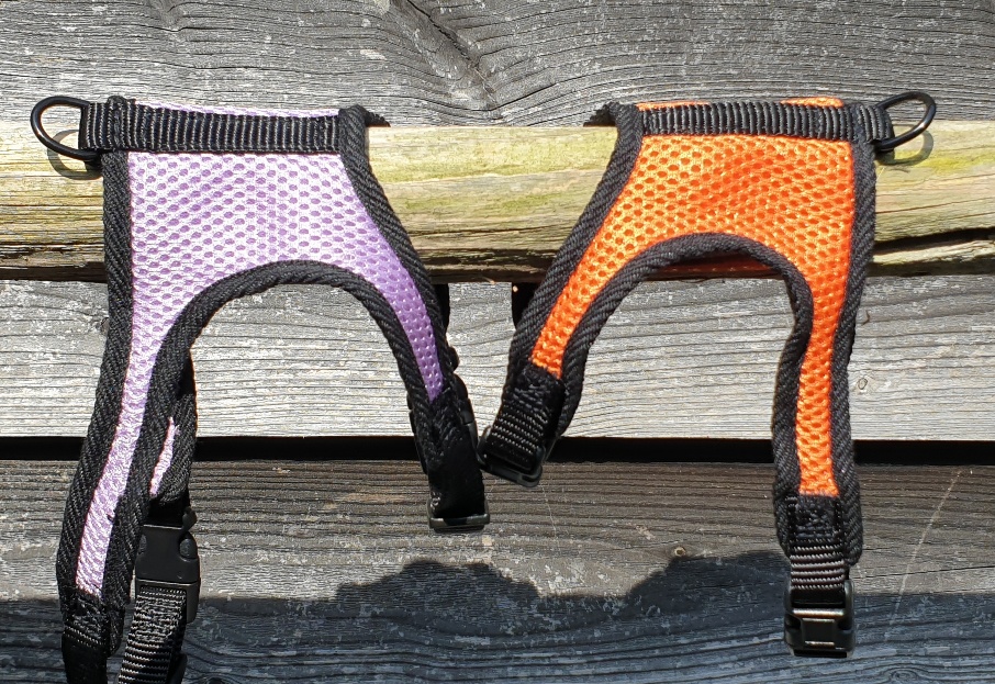 Welpengeschirr ultraleicht