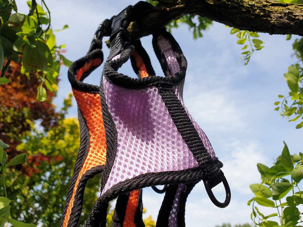 Welpengeschirr ultraleicht