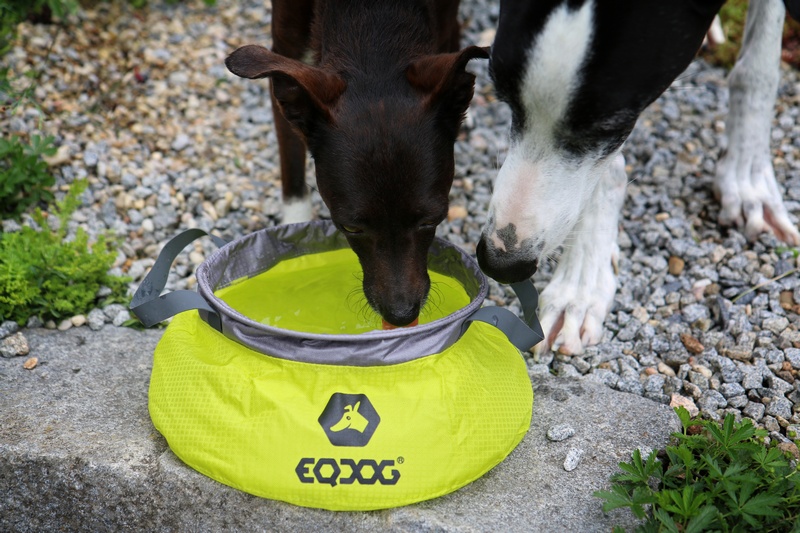 EQDOG Travel Bowl™