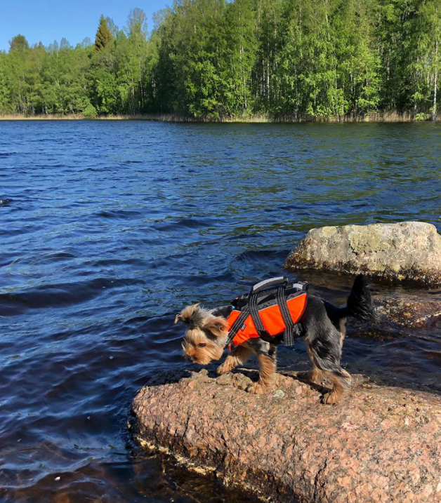 Rukka Safety Life Vest