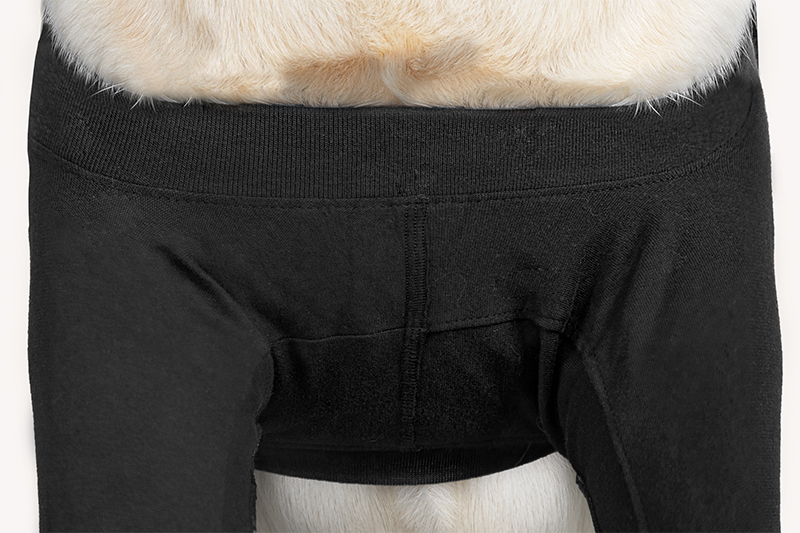 Suitical Recovery Double Sleeve® Hund