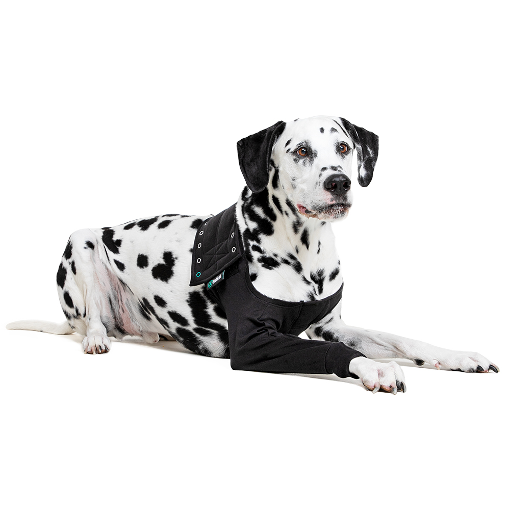 Suitical Recovery Sleeve® Hund