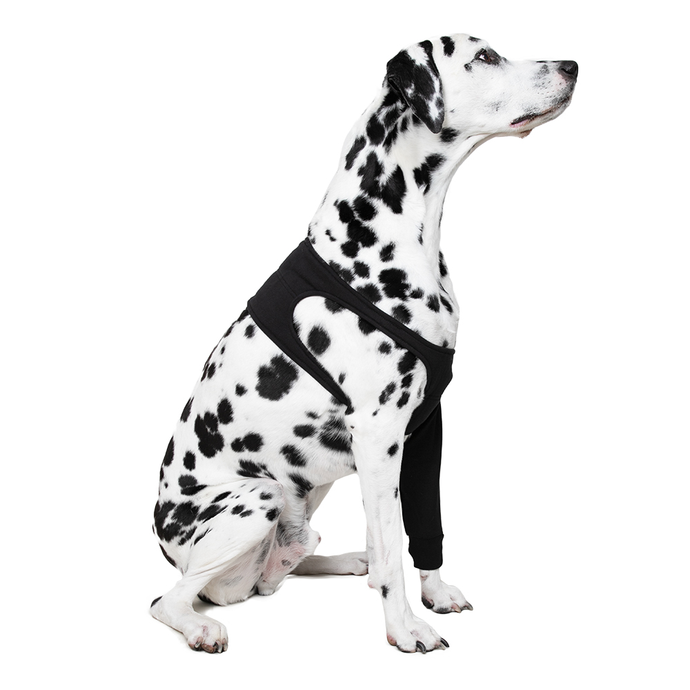 Suitical Recovery Sleeve® Hund