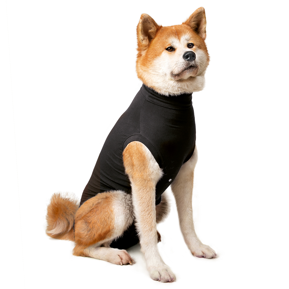 Suitical Recovery Suit® Hund Schwarz