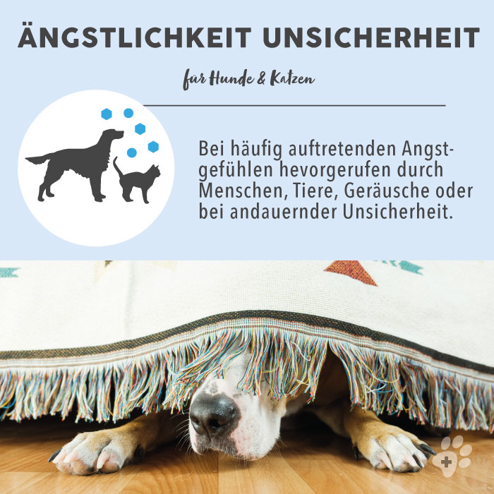 Blütenmischung nach Dr. Bach