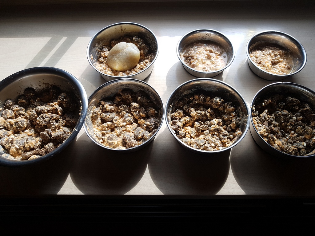 Karottenflocken getrocknet