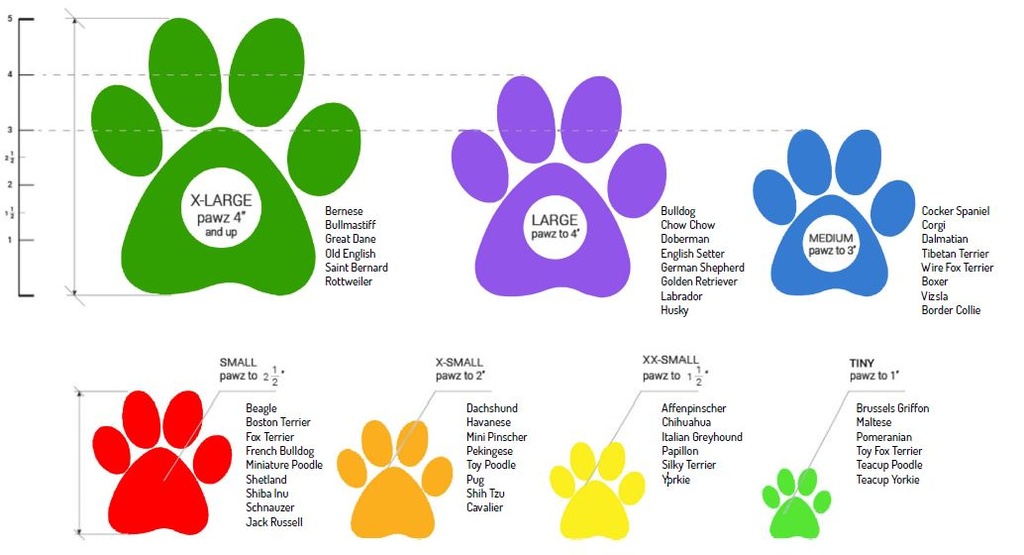 PawZ Dog Boots - Gummischuhe