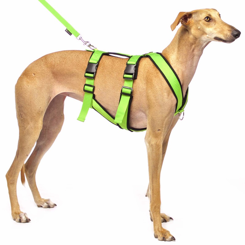 Sportgeschirr Y Double