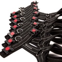 Sportgeschirr Y Reflex