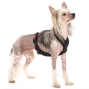 Sportgeschirr Y Small Reflex