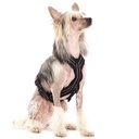 Sportgeschirr Y Small Reflex