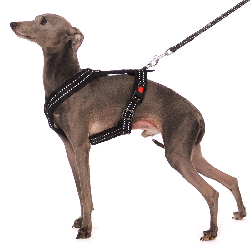 Sportgeschirr Y Small Reflex