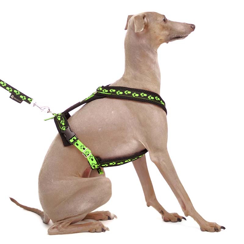 Sportgeschirr Y Small Pawprint