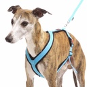 Sportgeschirr Y Small