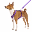 Sportgeschirr Y Small