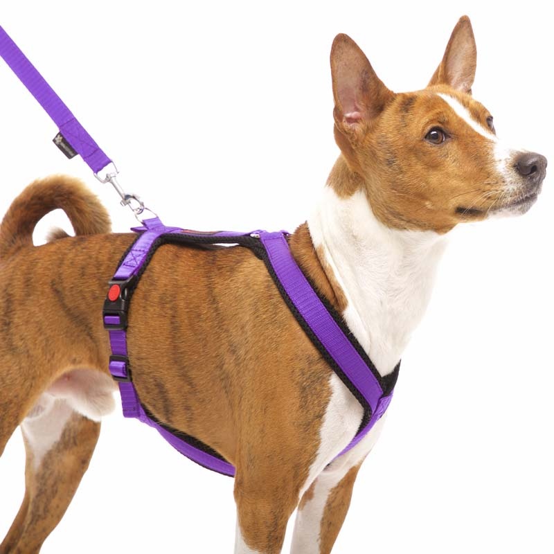 Sportgeschirr Y Small