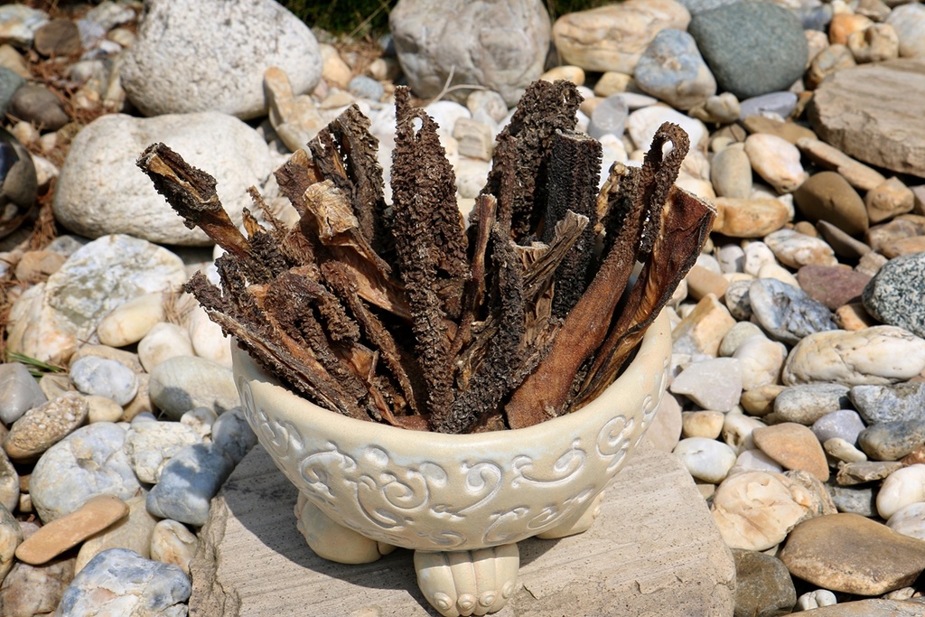 Rinderpansen in einer Schale angerichtet