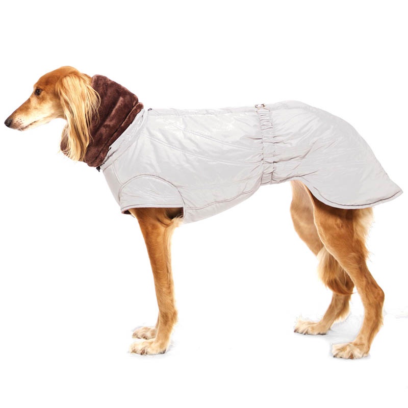 Hund im blauen Winteroverall