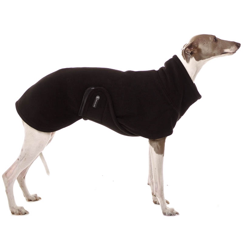 Hund im grünen Mantel mit Bauchlatz und hellgrünen Plüschrändern