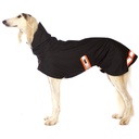 Hund im schwarzen Regenmantel mit Reflektoren und Neonfarbenen Abzeichen