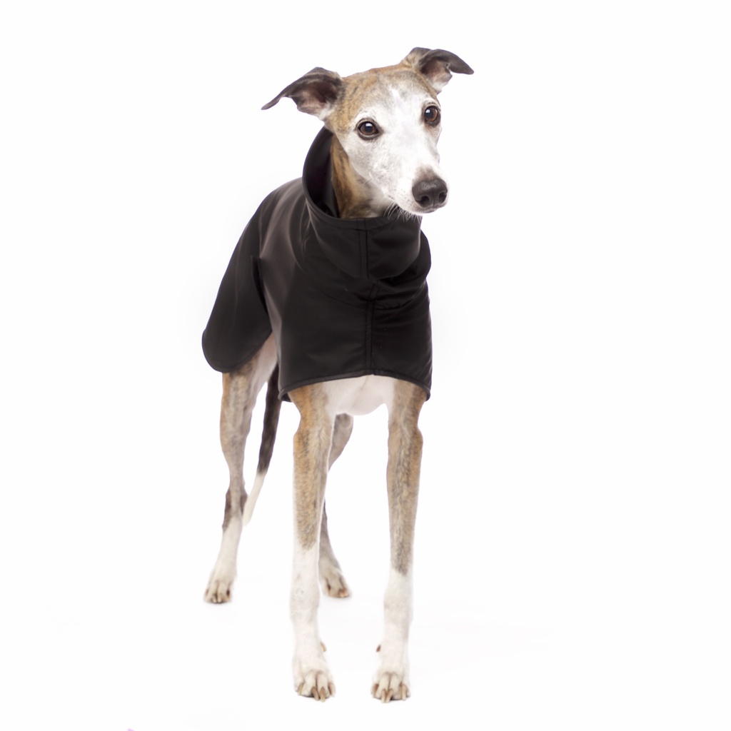 Hund im neongelben Regenmantel