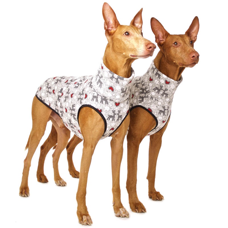 Hachico JUMPER Ltd. Designs