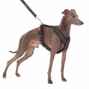 Sportgeschirr Y Small Reflex