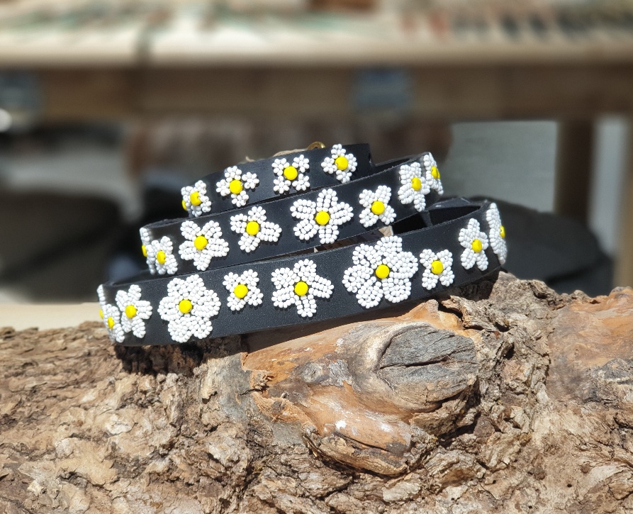 TKC Daisies Standard