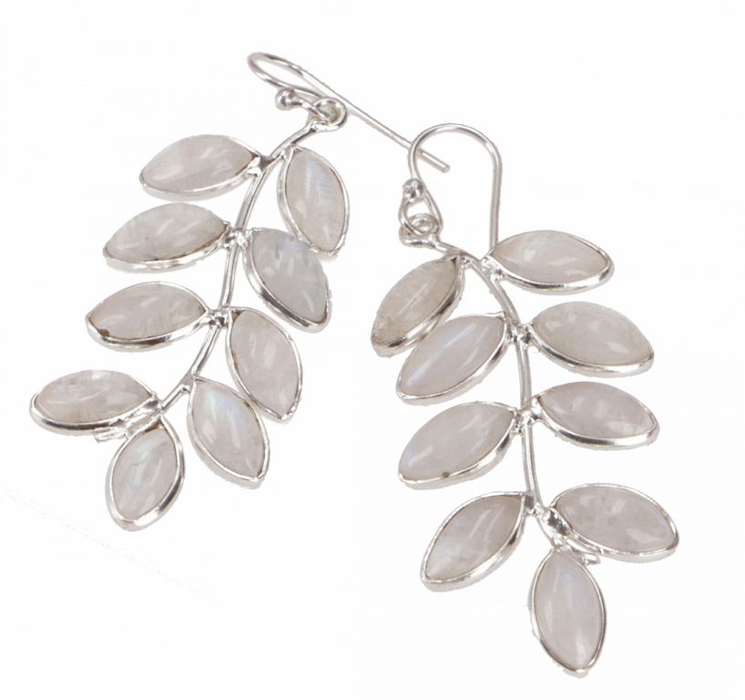 Blätterranke Ohrringe 925er