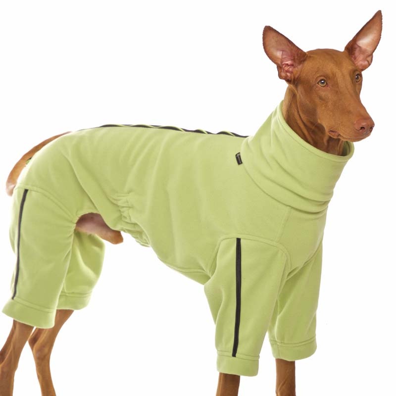 S&D Joker S2 Hellgrün