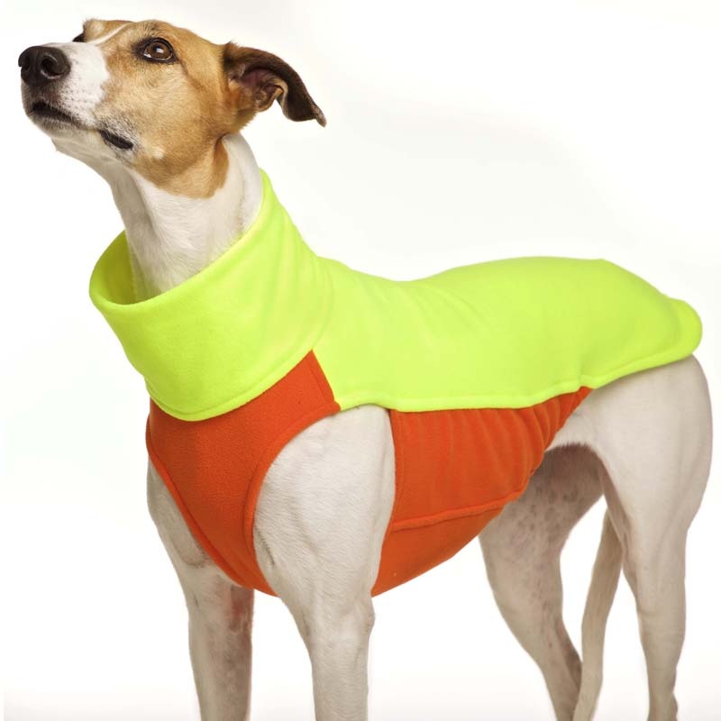 S&D Hachico NS-Home M2 Orange