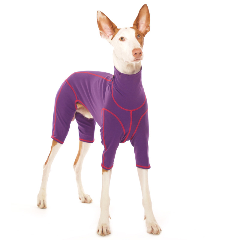 Hund in vierbeinigem, türkisfarbenem Overall ohne Verschlüsse