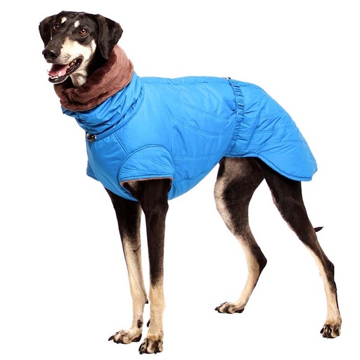 Hund im blauen Winteroverall